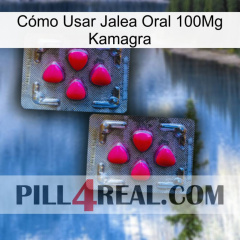 Cómo Usar Jalea Oral 100Mg Kamagra 14